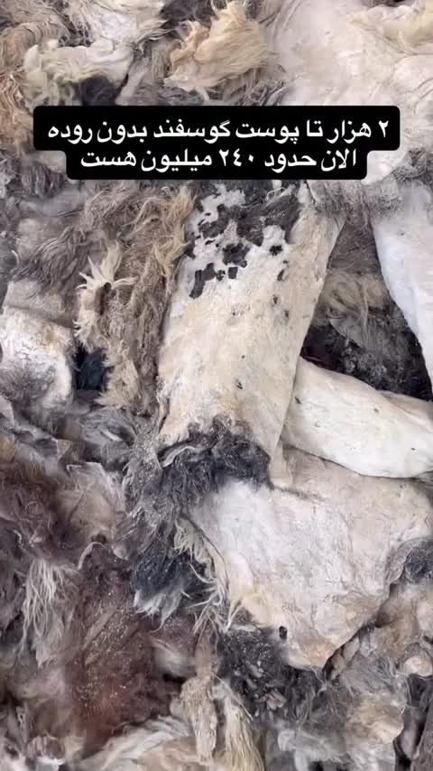 کفش طبی درجه 1 چرم طبیعی، چرم انتخاب