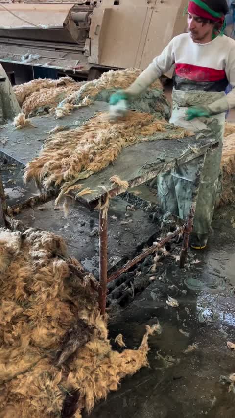 مدل هشترک طبی چرم طبیعی کد 368