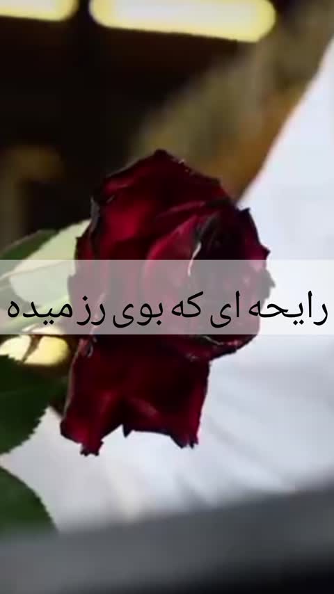 ادکلن ترزور میدنایت رز   Tresor Midnight Rose  اصل و اورجینال بارکد دار  (75 میل )