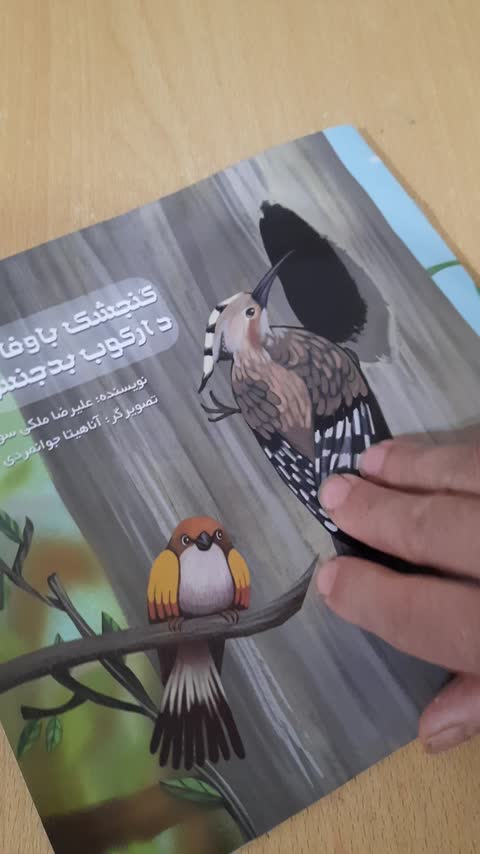 کتاب داستان کودک گنجشک باوفا و دارکوب بدجنس آموزنده