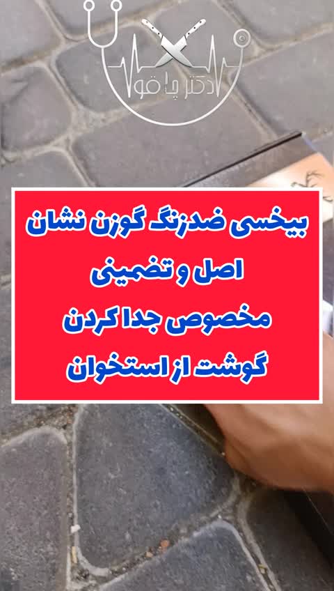 چاقو بیخسی قصابی ضدزنگ اصل گوزن نشان 