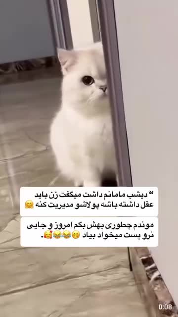 گوشگیر خز وارداتی تاشو 