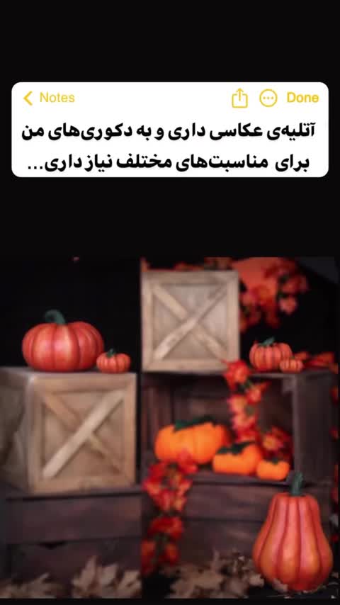 کدو دکوراتیو برجسته برگی دکوری پاییز یلدا کدوبرگی