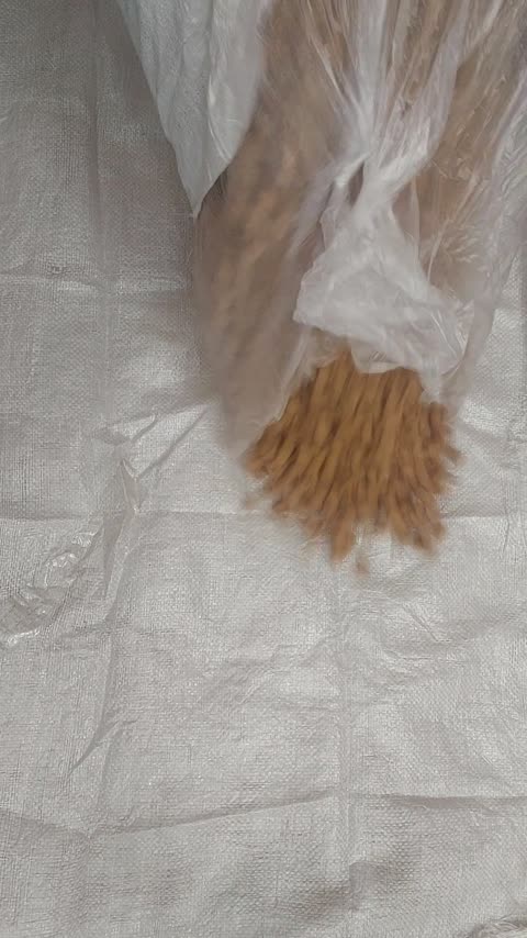 چوب پنبه (100عددی)