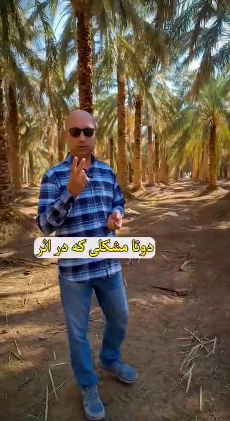 بالابر نخل گلارو مدل LP-60