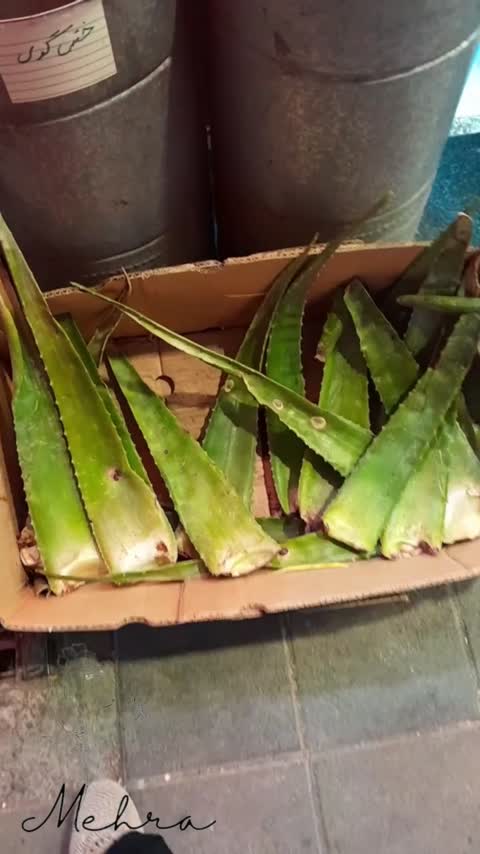 ژل الوئه ورا یک کیلویی(طبی) بدون اسانس