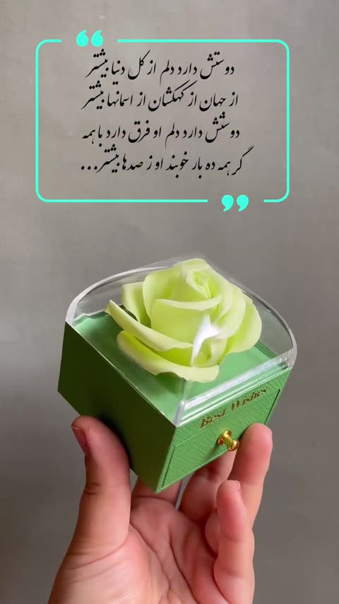 جعبه نیم ستی سبز کشویی رز جاودان با بگ دستی