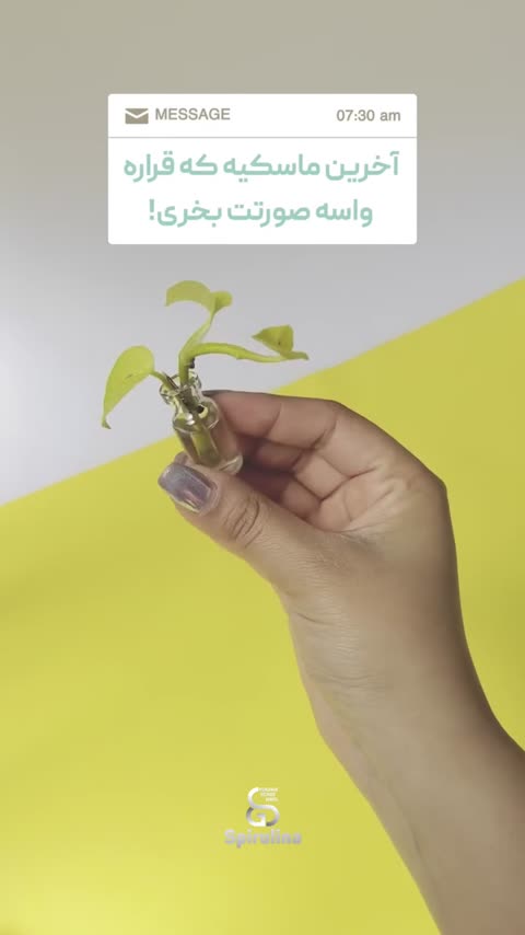 ماسک جلبک اسپیرولینا
