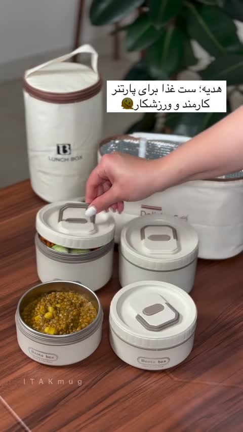 ظرف غذای( لانچ باکس) داخل استیل، 4 تکه، بدون نشتی، به همراه کیف