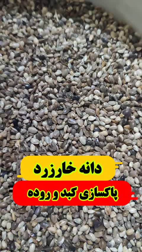 دانه خارزرد خار زرد سهره خار بیابونی یک کیلویی