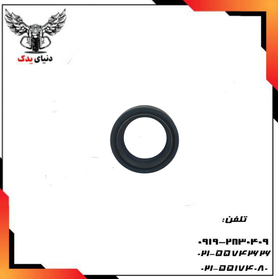 کاسه نمد کمک جلو اپاچی - اصلی