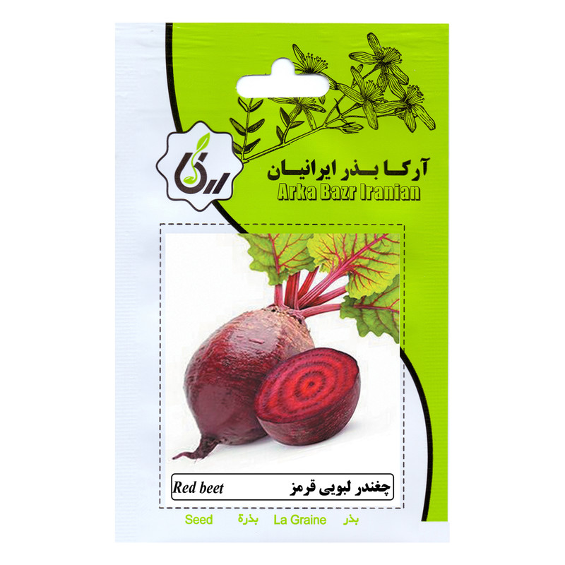 بذر چعندر لبویی قرمز آرکا بذر ایرانیان مدل B77