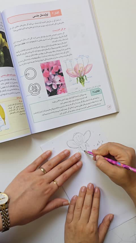 استیک نوت شفاف شاینی گربه