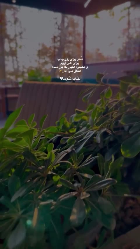   ماگ ساده ، ماگ حرارتی، تیشرت ، سر کلیدی ، مگنت دو نه ای، قالیچه