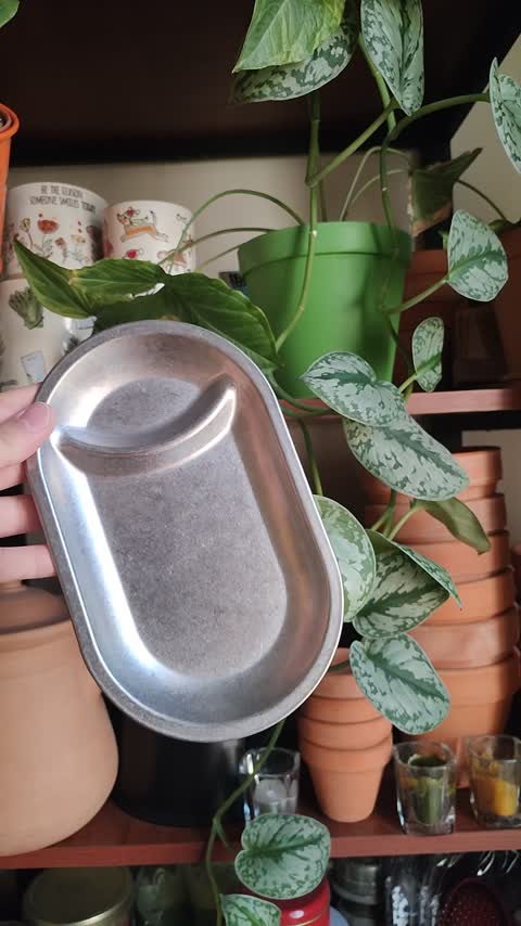 اردو خوری استیل وارداتی
