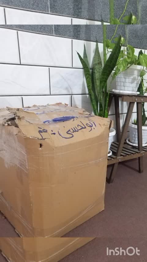 سینی 5 تیکه چوبی پایه دار