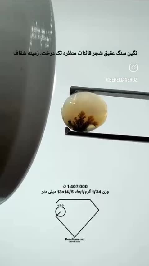 نگین سنگ عقیق شجر قائنات منظره تک درخت، زمینه شفاف 
