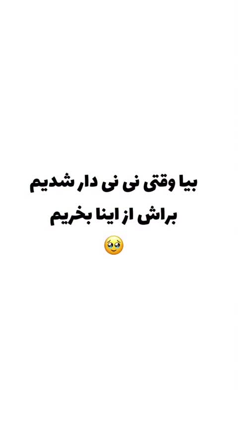 دفتر خاطرات نی نی
