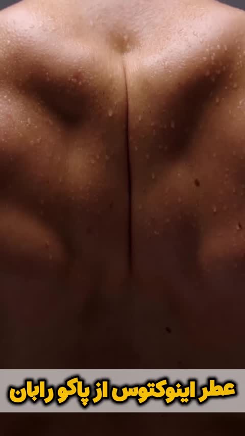 عطر اینوکتوس اورجینال از شرکت لوزی سوئیس گرید H