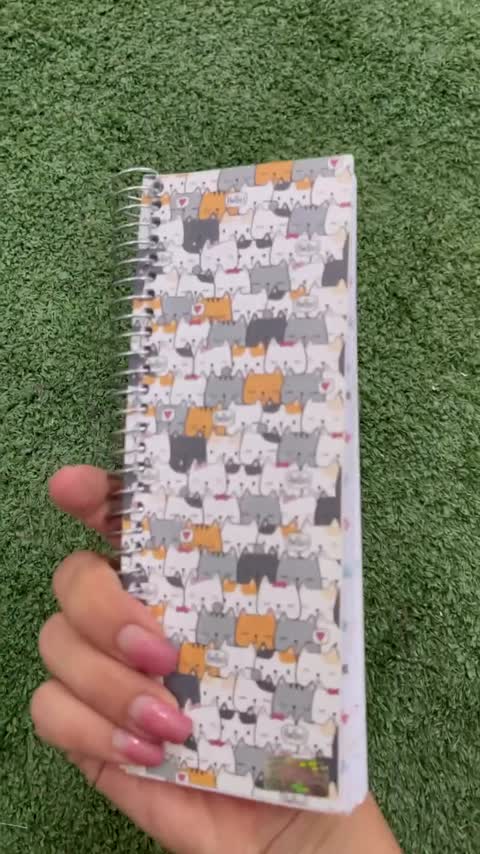 دفترچه یادداشت مستر راد مدل to do list طرح گربه فانتزی کد cat kawaii 1545