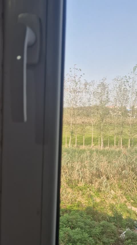 ماگ دوجداره بدون دسته