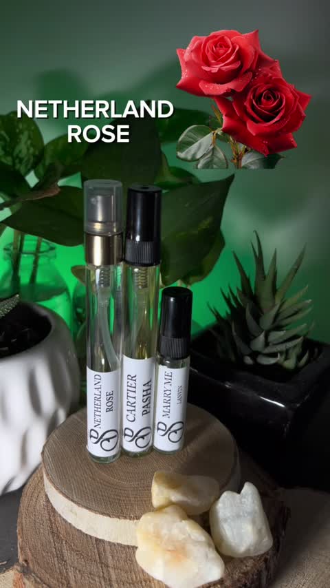 عطر گل رز هلندی - hcv ژیوادان سوئیس (با تضمین کیفیت)