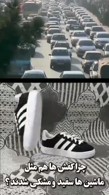 کفش اسپرت ونس کامپوس