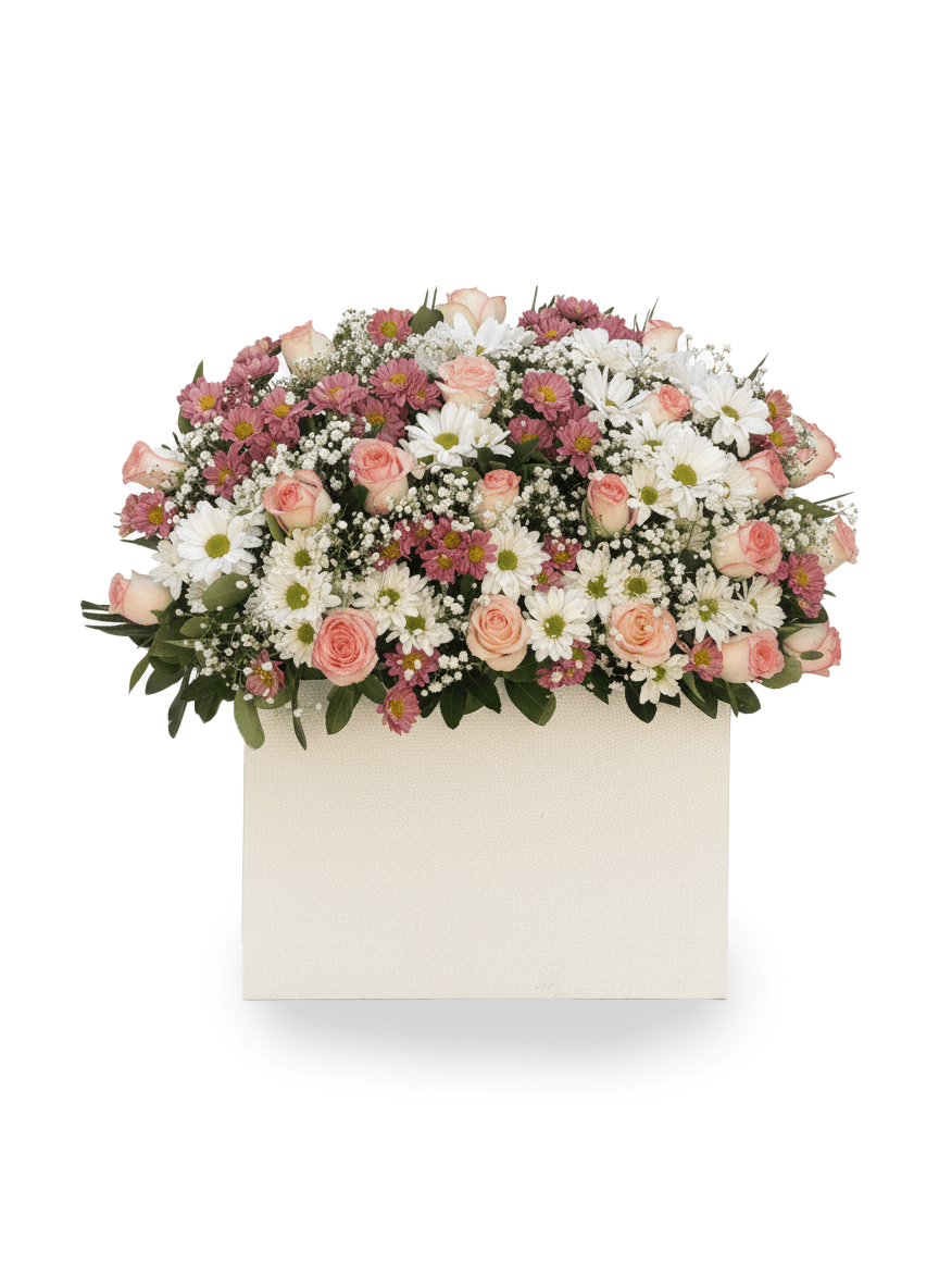 باکس گل امیلیا