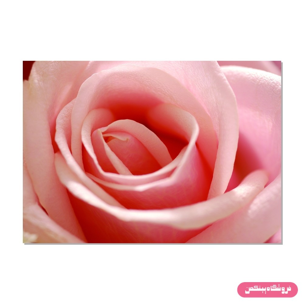 پوستر پینکمن طرح گل رنگارنگ و منظره طبیعت مدل Jm817