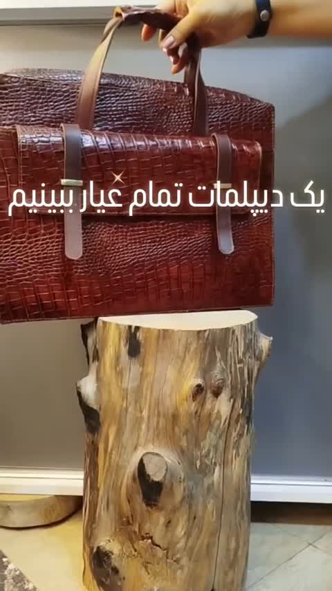 کیف دیپلمات 