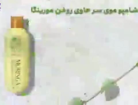 شامپو مورینگا