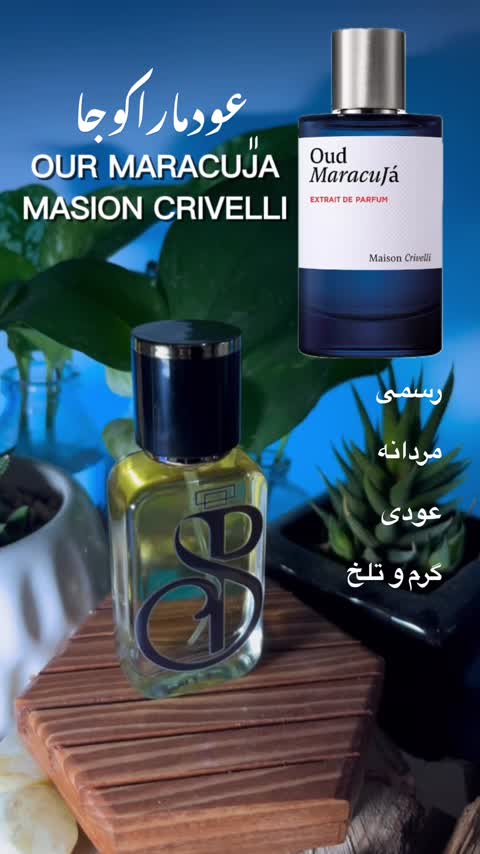 عطر میسون کریویلی عود ماراکوجا - hcv ژیوادان سوئیس (با تضمین کیفیت).