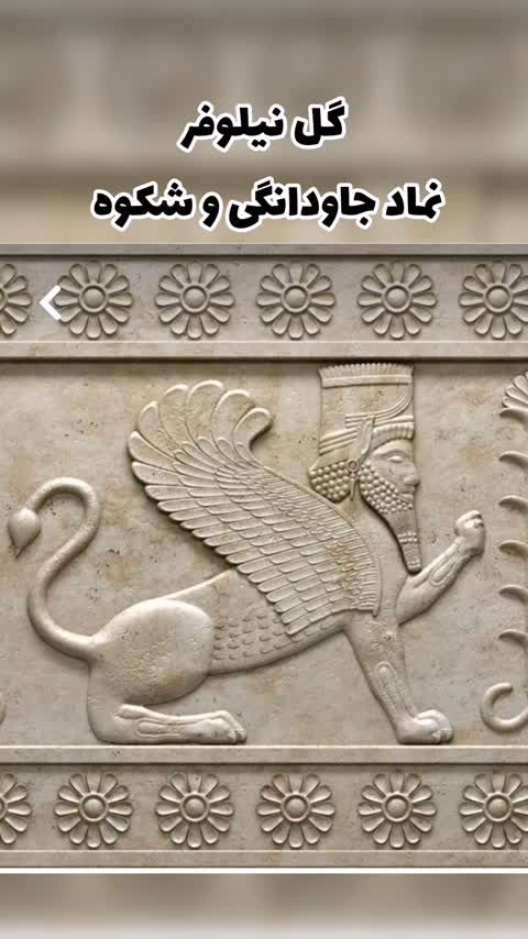 گردنبند یشم جدئیت گردنبند یشم جیدیت گردنبند یشم جید سرخ معدنی و طبیعی مدال کاروینگ جید سرخ گل نیلوفر 38