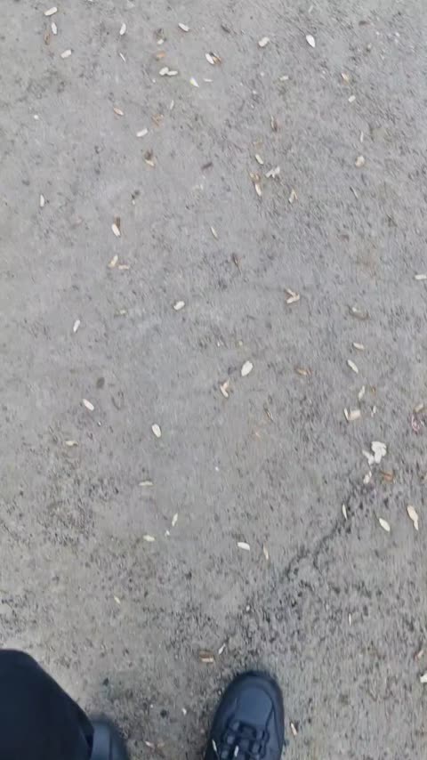 ست دونفره چای خوری