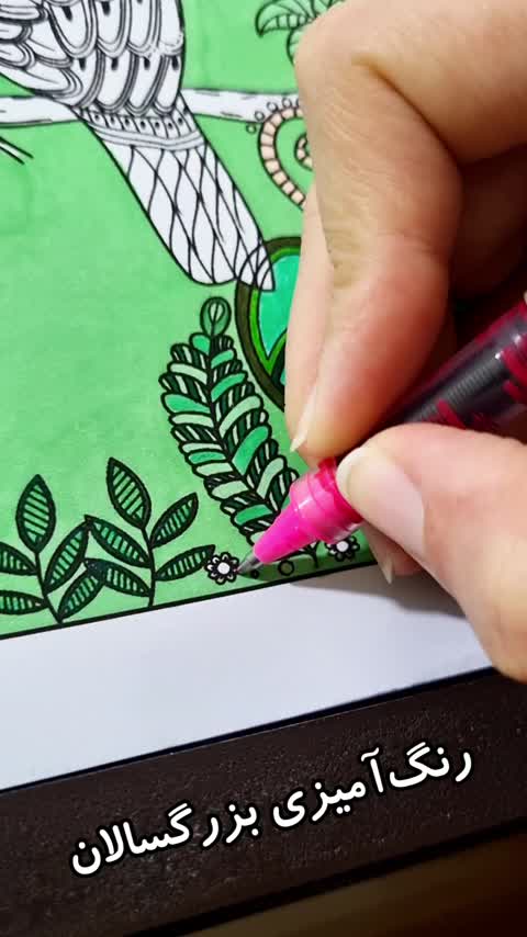 کتاب جنگل اسرار آمیز رنگ آمیزی بزرگسالان انتشارات جواهری