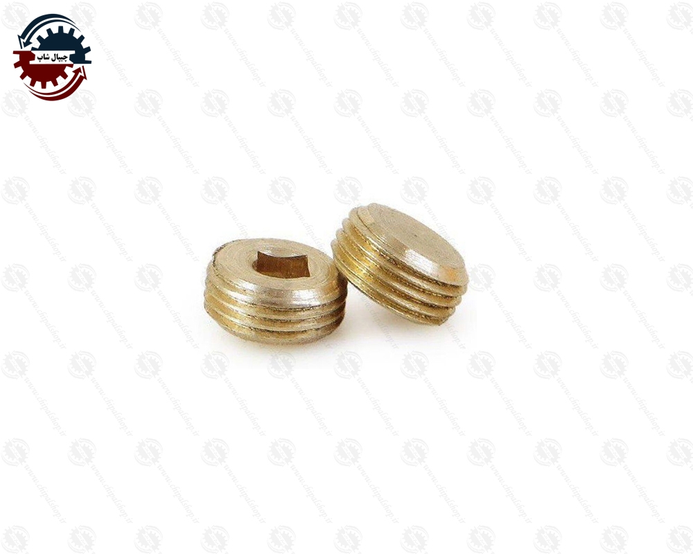 پیچ کورکن بغل سیلندر (پژو 405، سمند، پرشیا )