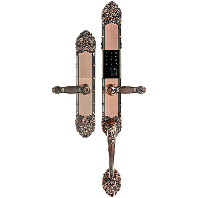 دستگیره هوشمند هوم لاک مدل c200 ( کلاسیک)