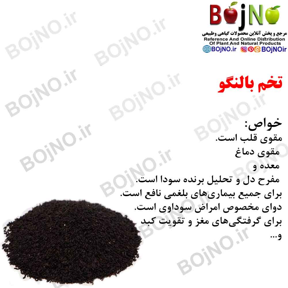 بالنگو 100گرمی