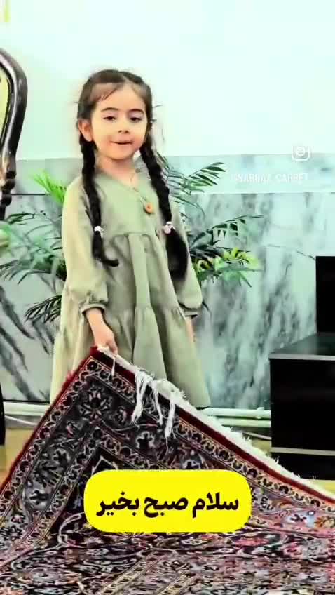 فرش دستباف جفت6 متری لاکی