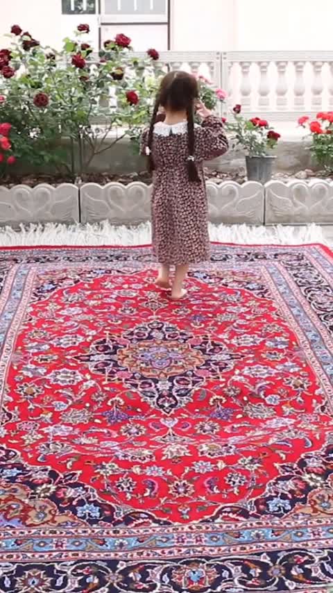 فرش دستباف جفت6 متری لاکی
