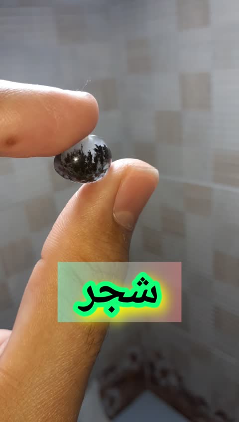 عقیق شجر سیاه طبیعی و معدنی جذاب