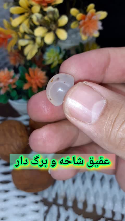 عقیق طبیعی و معدنی شاخه وبرگ دار
