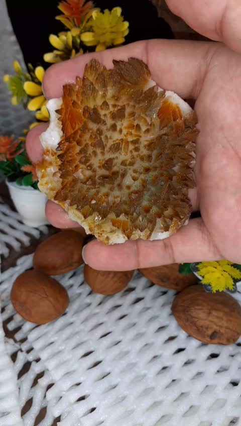  کلسیت هماتوئیدی خوش رنگ زیبای کلکسیونی