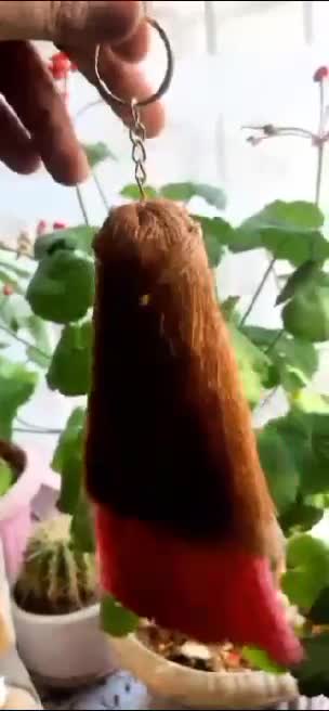 عروسک دخترانه مکرومه لوکس