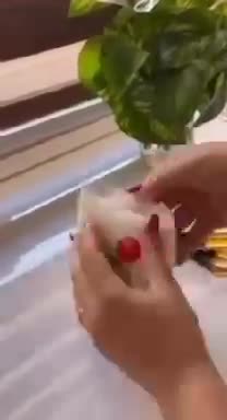  تی بک یاکیسه چای یکبار مصرف