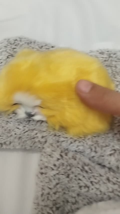 عروسک سگ خوابیده موزیکال