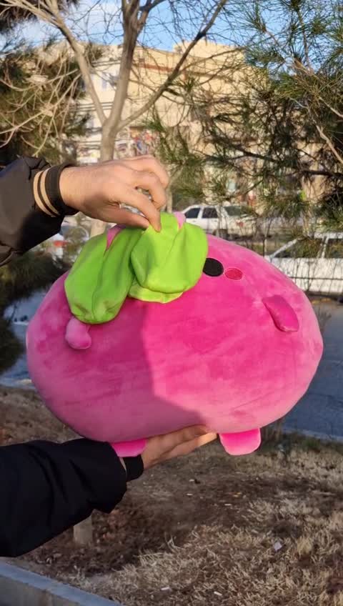 عروسک تربچه 