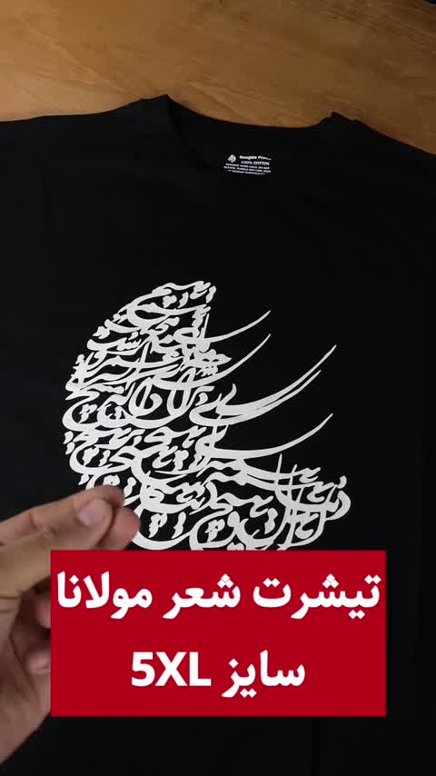 تیشرت مردانه نخ پنبه طرح دنیا همه هیچ - کد 06