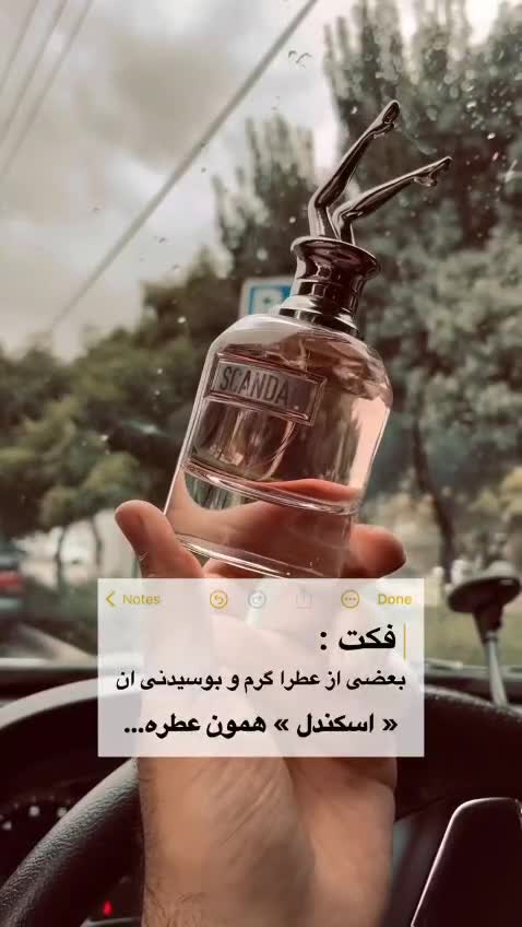پک 4 تایی اورجینال زنانه شماره 101