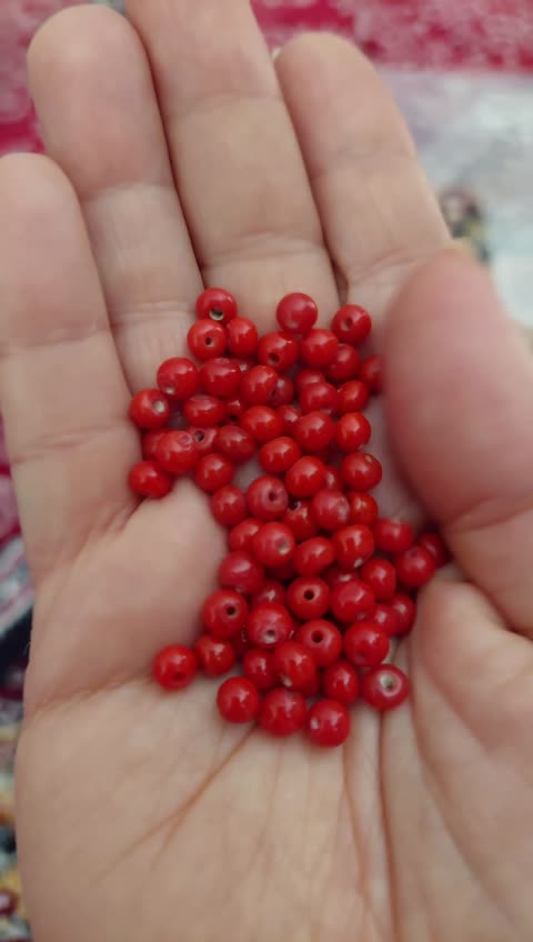 مهره مرجان واشری طبیعی سایز 5 سوراخ دار اصل